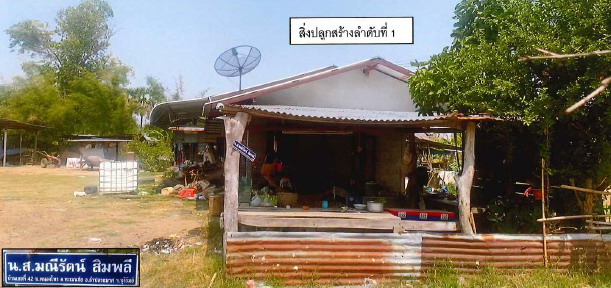 ขายทอดตลาด ที่ดินพร้อมสิ่งปลูกสร้าง ต.ทะเมนชัย อ.ลำปลายมาศ จ.บุรีรัมย์