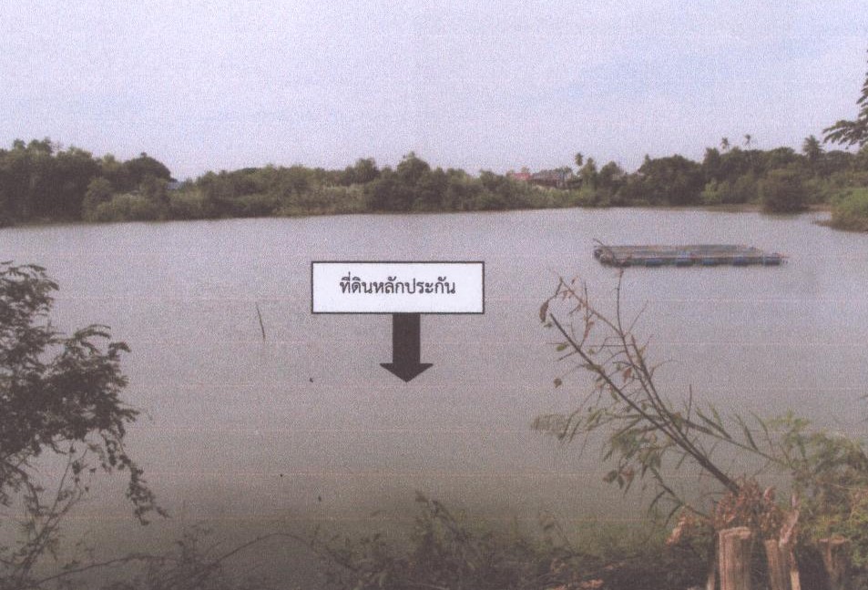 ขายทอดตลาด ที่ดินว่างเปล่า ต.ไทรน้อย อ.บางบาล(เสนาใน จ.พระนครศรีอยุธยา