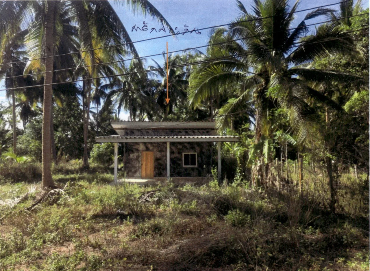 ขายทอดตลาด ที่ดินพร้อมสิ่งปลูกสร้าง ต.บางสะพาน อ.บางสะพานน้อย จ.ประจวบคีรีขันธ์