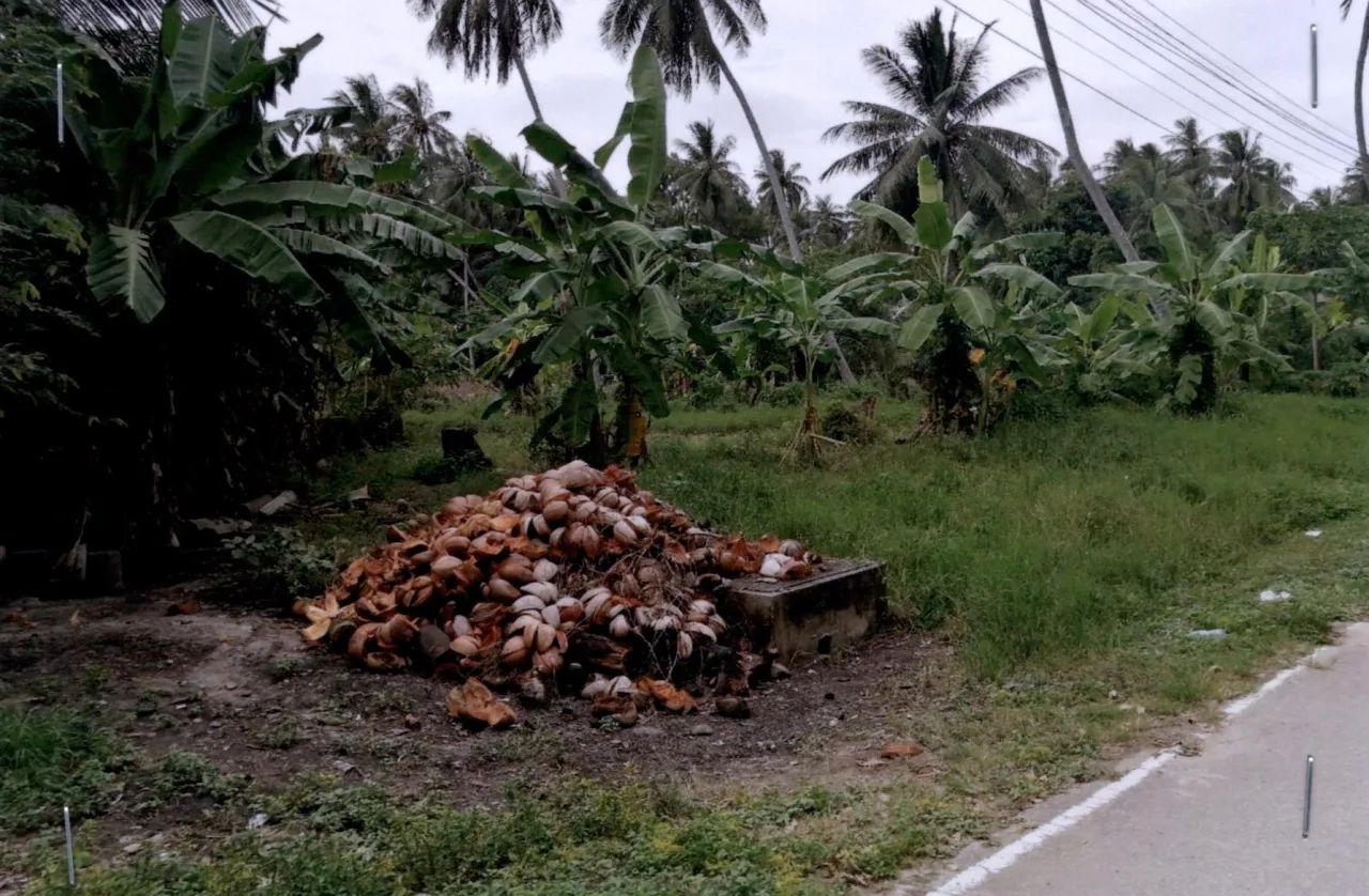ขายทอดตลาด ที่ดินว่างเปล่า ต.ทับสะแก อ.ทับสะแก จ.ประจวบคีรีขันธ์
