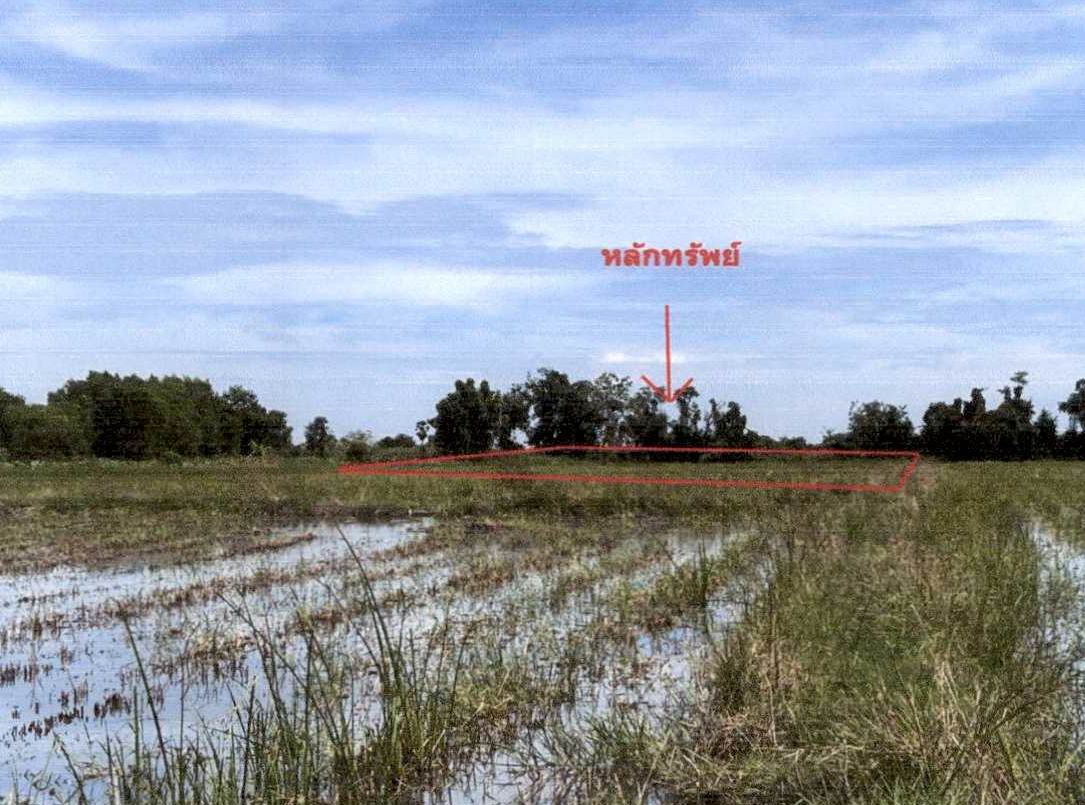 ขายทอดตลาด ที่ดินว่างเปล่า จ.นครศรีธรรมราช