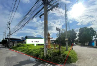 รูปทรัพย์ 1