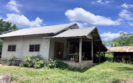 ขายทอดตลาด ที่ดินพร้อมสิ่งปลูกสร้าง ต.พุทไธสง อ.พุทไธสง จ.บุรีรัมย์