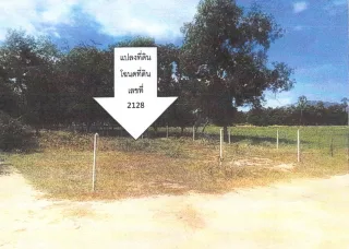 รูปทรัพย์ 2