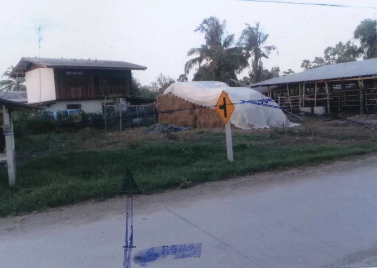 ขายทอดตลาด ที่ดินว่างเปล่า ต.หนองขนาน อ.เมืองเพชรบุรี จ.เพชรบุรี