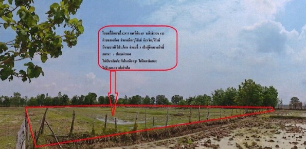 ขายทอดตลาด ที่ดินพร้อมสิ่งปลูกสร้าง ต.สองห้อง อ.เมืองบุรีรัมย์ จ.บุรีรัมย์