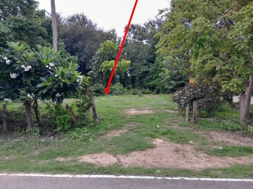 ขายทอดตลาด ที่ดินว่างเปล่า ต.สะเดา อ.พลับพลาชัย จ.บุรีรัมย์