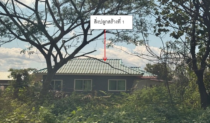 ขายทอดตลาด ที่ดินพร้อมสิ่งปลูกสร้าง ต.ท่าวังทอง อ.เมืองพะเยา จ.พะเยา