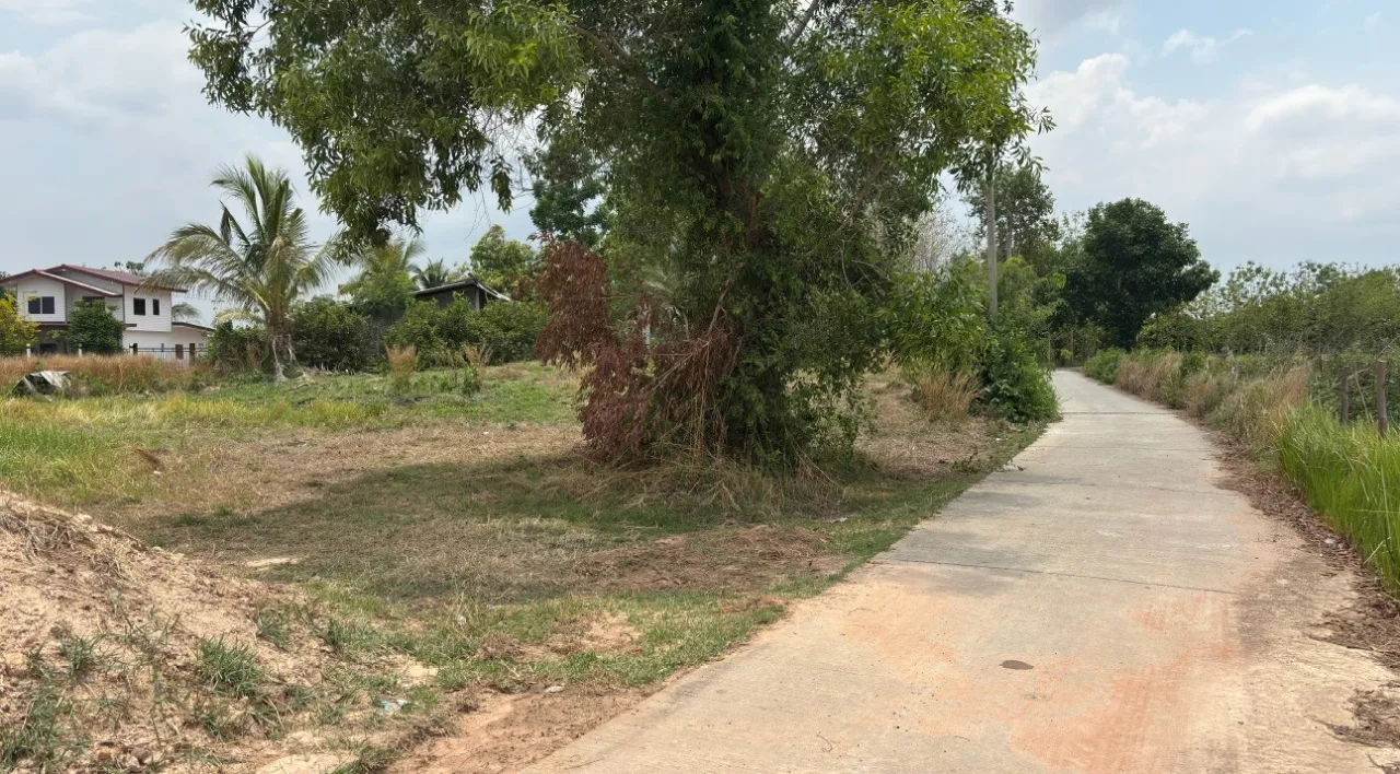 ขายทอดตลาด ที่ดินว่างเปล่า ต.กระสัง อ.กระสัง จ.บุรีรัมย์