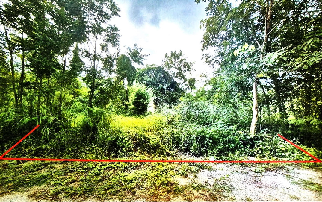 ขายทอดตลาด ที่ดินว่างเปล่า จ.เพชรบุรี