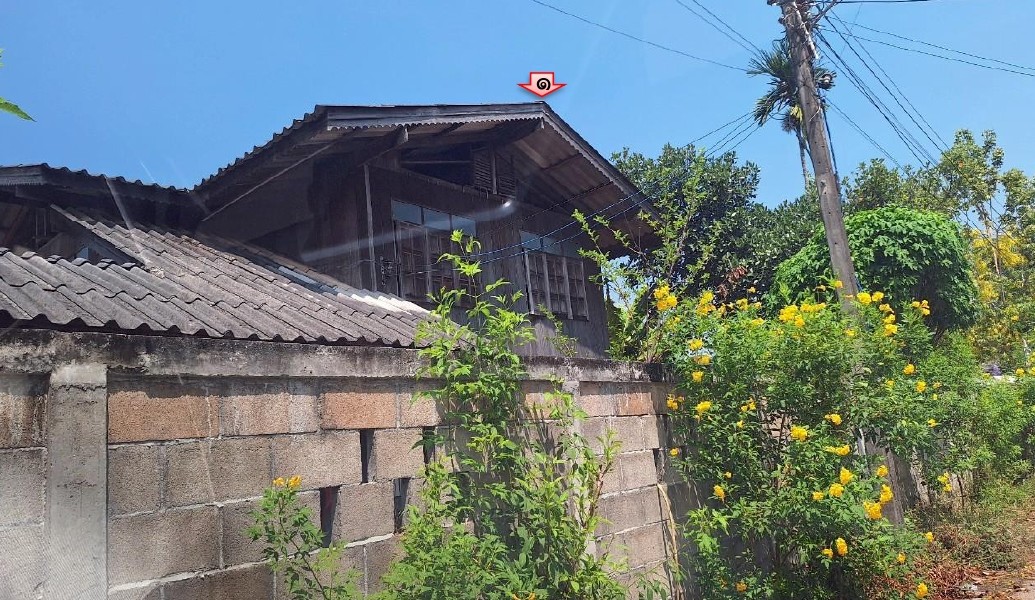 ขายทอดตลาด ที่ดินพร้อมสิ่งปลูกสร้าง ต.บ้านถ้ำ อ.ดอกคำใต้ จ.พะเยา