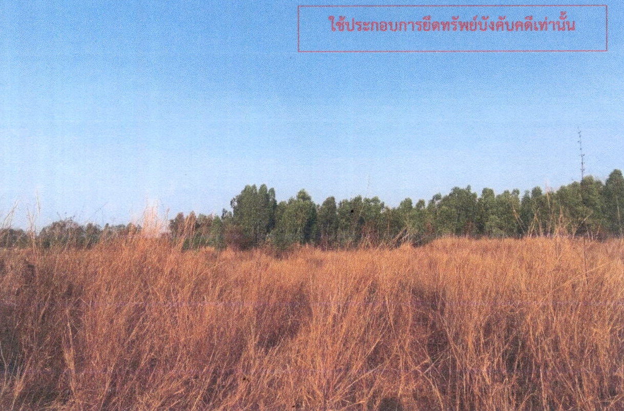 ขายทอดตลาด ที่ดินว่างเปล่า ต.โนนแหลมทอง อ.สหัสขันธ์ จ.กาฬสินธุ์