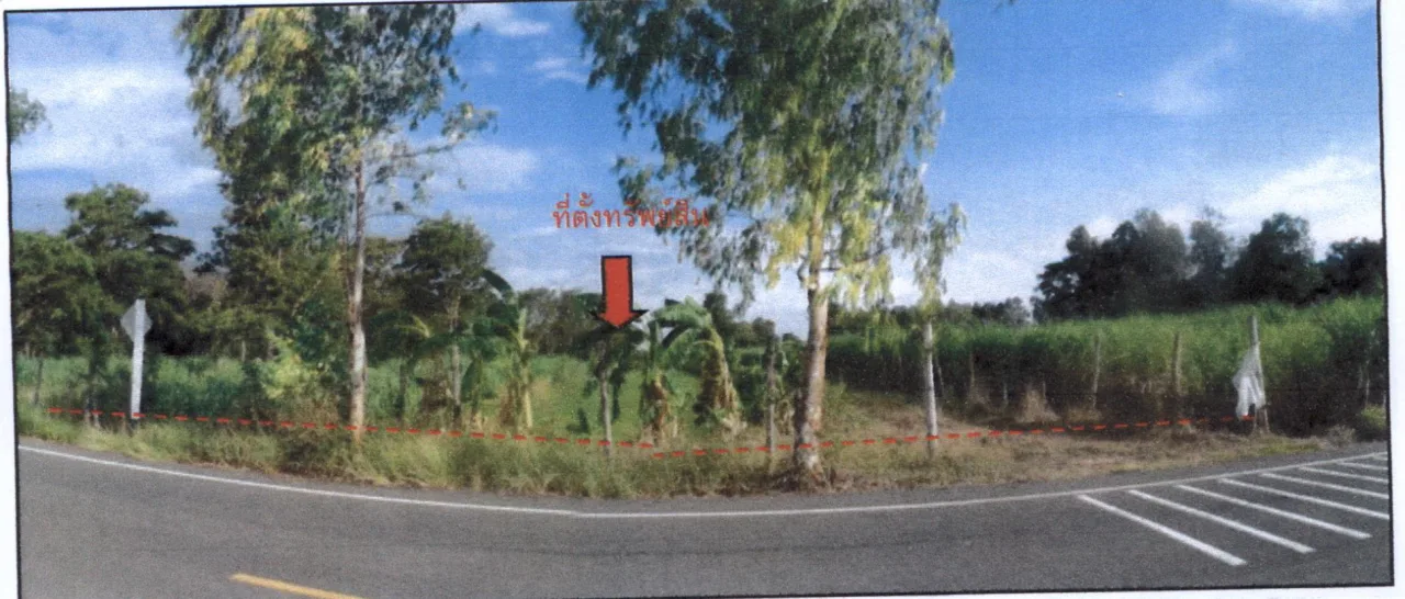 ขายทอดตลาด ที่ดินว่างเปล่า ต.บุโพธิ์ อ.ลำปลายมาศ จ.บุรีรัมย์