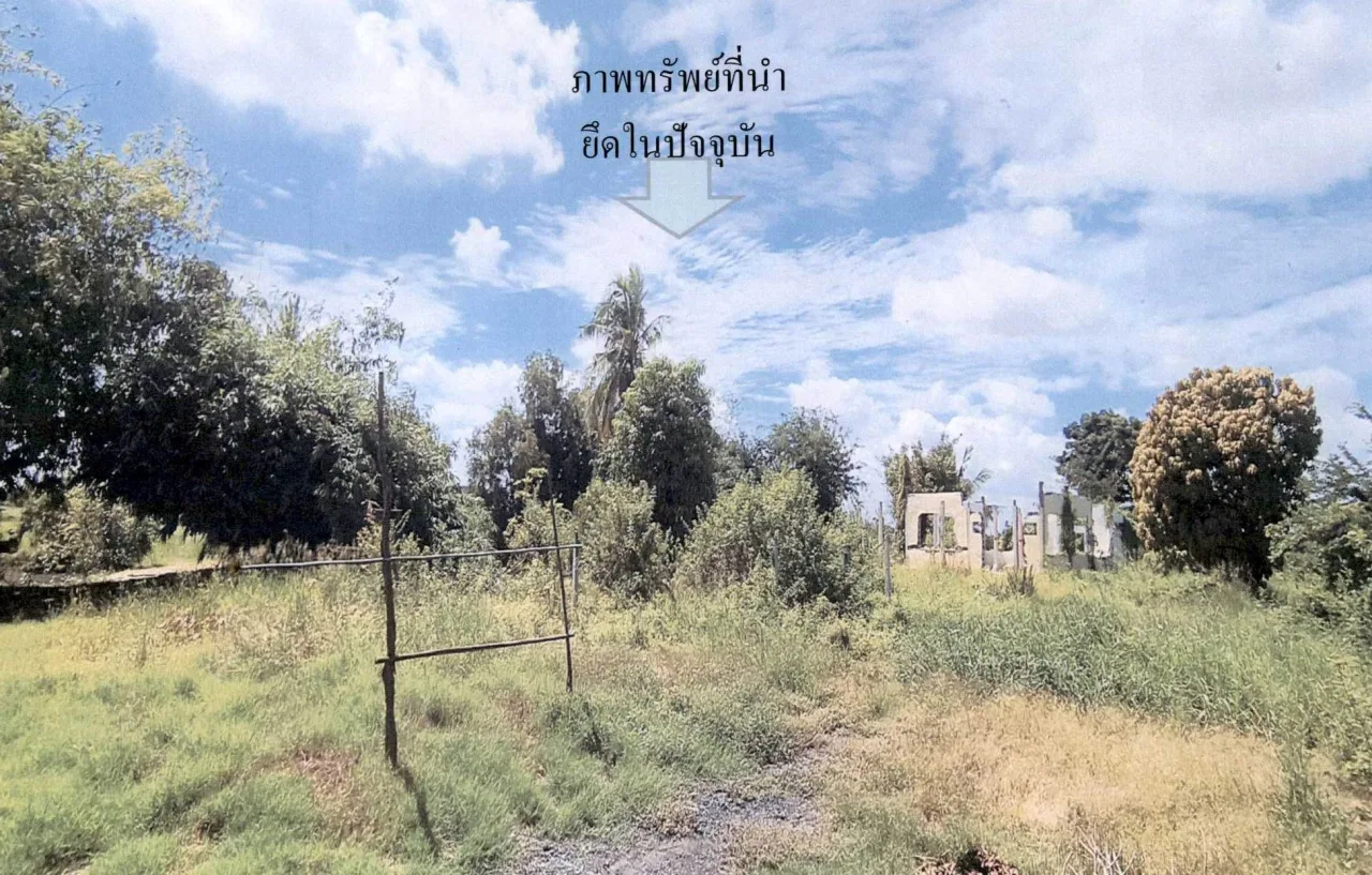 ขายทอดตลาด ที่ดินว่างเปล่า ต.ไผ่พระ อ.บางไทร จ.พระนครศรีอยุธยา