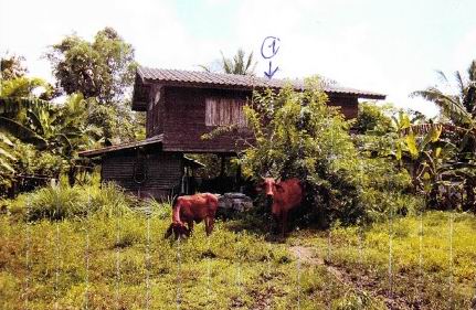 ขายทอดตลาด ที่ดินพร้อมสิ่งปลูกสร้าง ต.บ้านยาง อ.เมืองบุรีรัมย์ จ.บุรีรัมย์