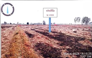 รูปทรัพย์ 2