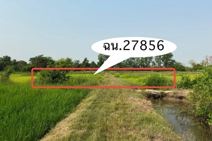ขายทอดตลาด ที่ดินว่างเปล่า ต.วังแขม อ.คลองขลุง จ.กำแพงเพชร