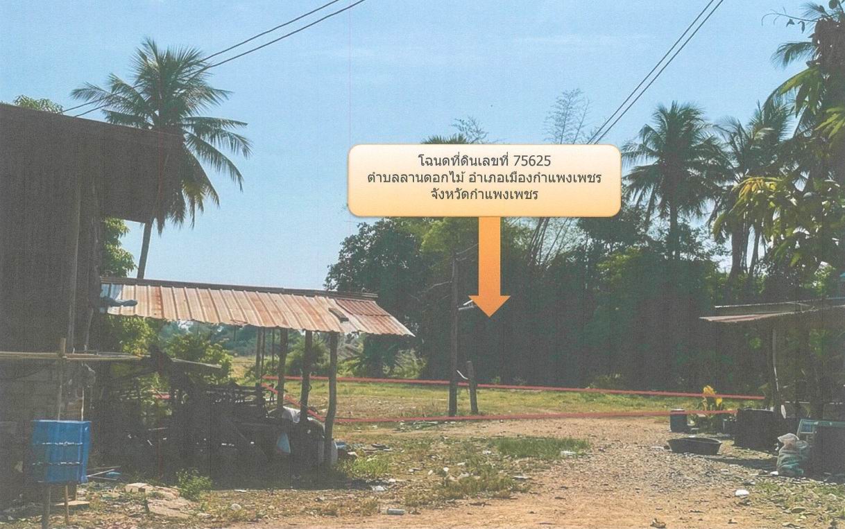 ขายทอดตลาด ที่ดินว่างเปล่า จ.กำแพงเพชร