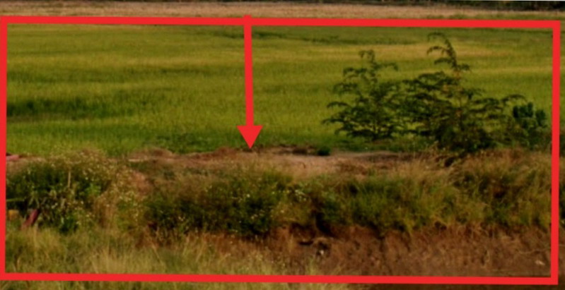 ขายทอดตลาด ที่ดินว่างเปล่า ต.แม่สุก อ.แม่ใจ จ.พะเยา