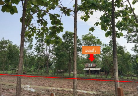 ขายทอดตลาด ที่ดินพร้อมสิ่งปลูกสร้าง ต.นาโพธิ์ อ.นาโพธิ์ จ.บุรีรัมย์