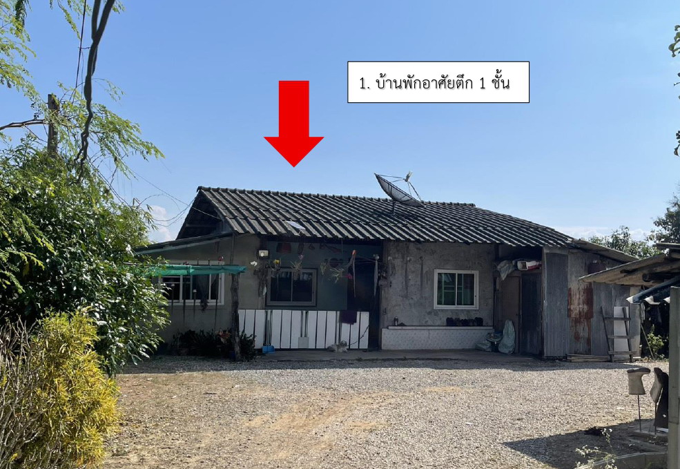 ขายทอดตลาด ที่ดินพร้อมสิ่งปลูกสร้าง ต.แม่นาเรือ อ.เมืองพะเยา จ.พะเยา