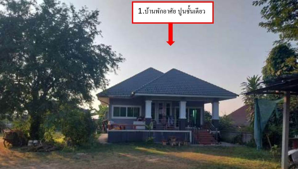 ขายทอดตลาด ที่ดินพร้อมสิ่งปลูกสร้าง ต.บ้านเหล่า อ.แม่ใจ จ.พะเยา