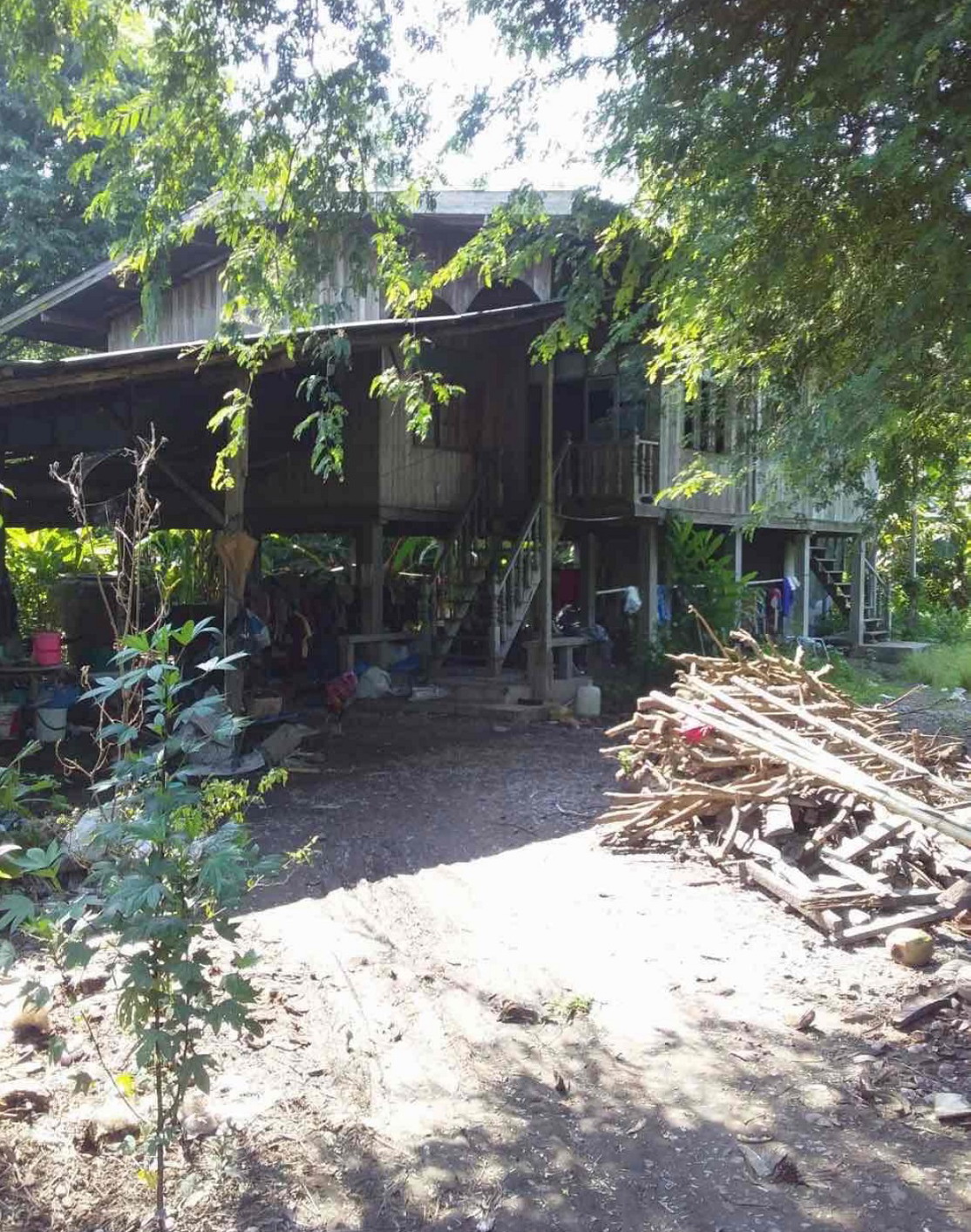 ขายทอดตลาด ที่ดินพร้อมสิ่งปลูกสร้าง ต.บ้านต๋อม อ.เมืองพะเยา จ.พะเยา
