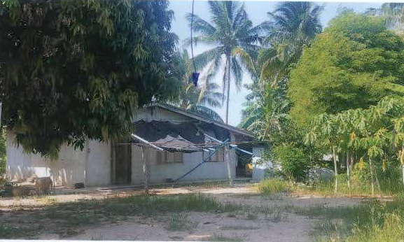 ขายทอดตลาด ที่ดินพร้อมสิ่งปลูกสร้าง ต.ไร่ใหม่พัฒนา อ.ชะอำ จ.เพชรบุรี