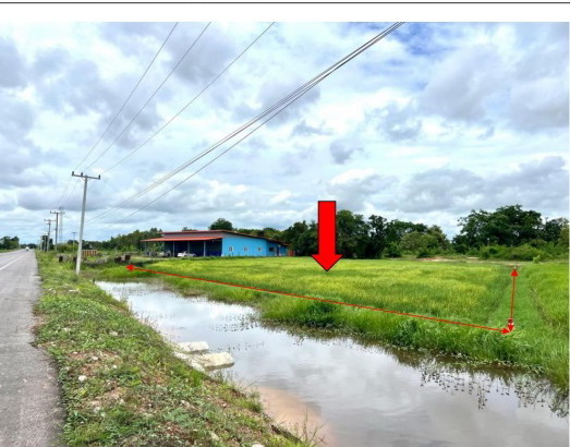 ขายทอดตลาด ที่ดินว่างเปล่า จ.กาฬสินธุ์