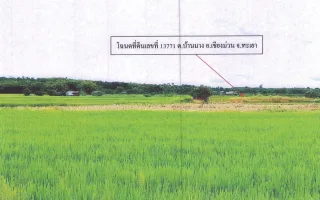 รูปทรัพย์ 2
