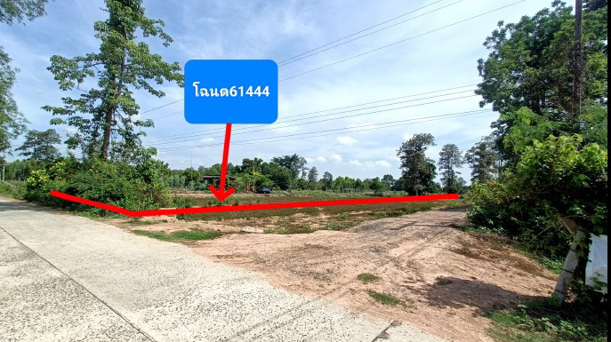 ขายทอดตลาด ที่ดินว่างเปล่า ต.บ้านปรือ อ.กระสัง จ.บุรีรัมย์