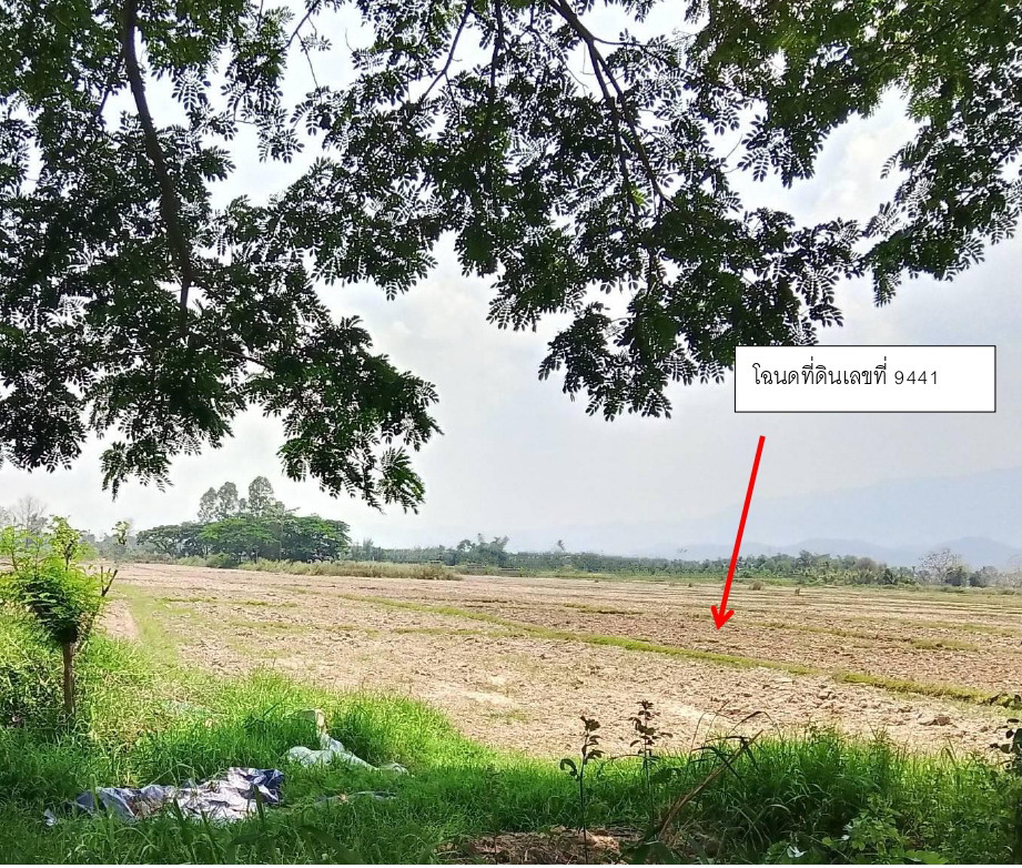 ขายทอดตลาด ที่ดินว่างเปล่า ต.ห้วยแก้ว อ.ภูกามยาว จ.พะเยา
