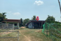 ขายทอดตลาด ที่ดินพร้อมสิ่งปลูกสร้าง ต.โคกมะขาม อ.ประโคนชัย จ.บุรีรัมย์