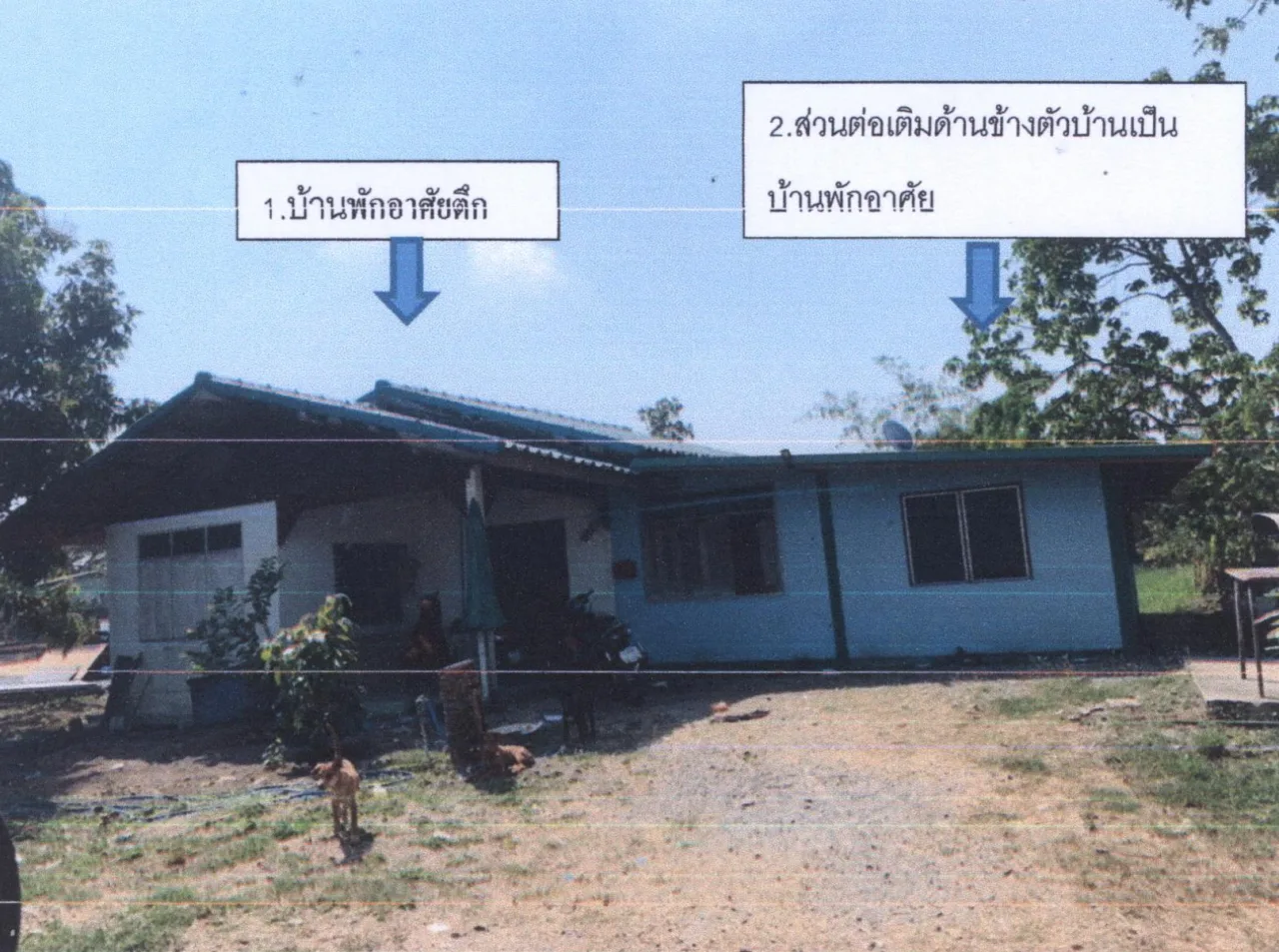 ขายทอดตลาด ที่ดินพร้อมสิ่งปลูกสร้าง ต.โคกม่วง อ.ภาชี จ.พระนครศรีอยุธยา