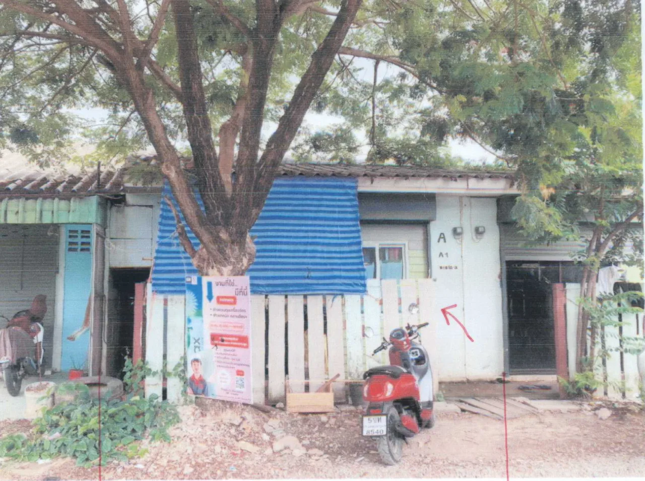 ขายทอดตลาด ที่ดินพร้อมสิ่งปลูกสร้าง ต.สระพัง อ.เขาย้อย จ.เพชรบุรี
