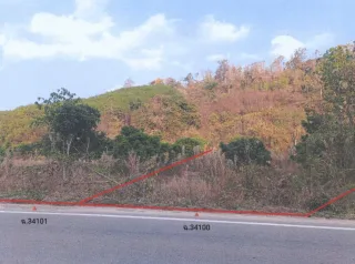 รูปทรัพย์ 2