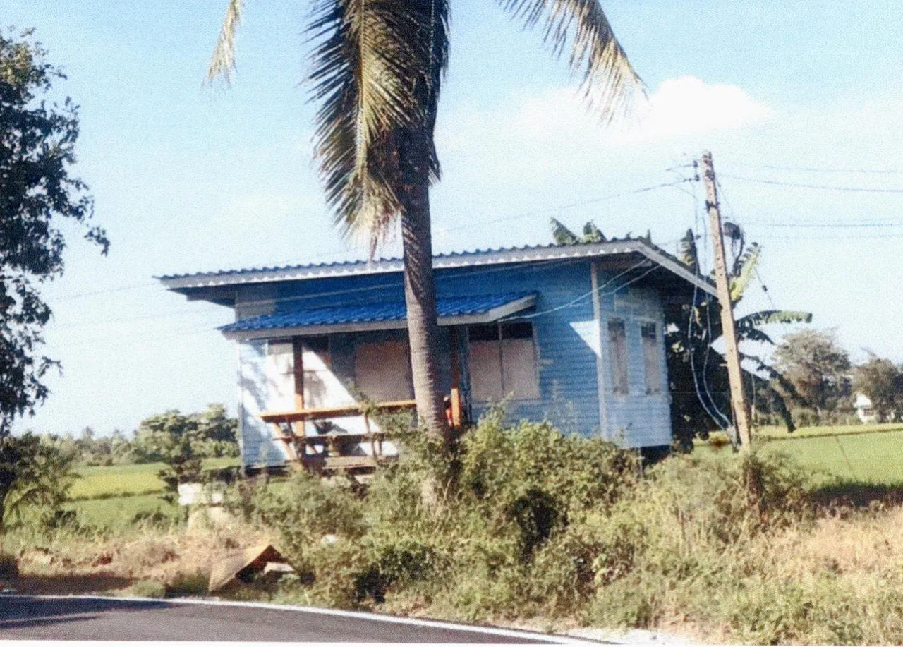 ขายทอดตลาด ที่ดินพร้อมสิ่งปลูกสร้าง ต.กกแก้วบูรพา อ.บางไทร จ.พระนครศรีอยุธยา