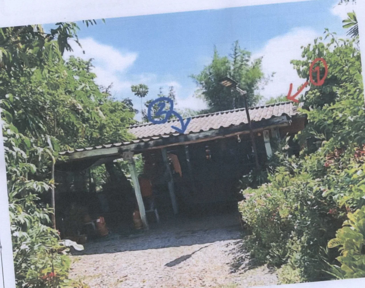 ขายทอดตลาด ที่ดินพร้อมสิ่งปลูกสร้าง ต.แม่ใจ อ.แม่ใจ จ.พะเยา