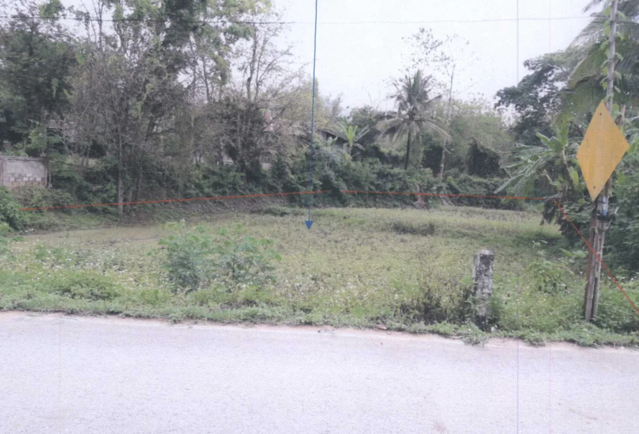 ขายทอดตลาด ที่ดินว่างเปล่า ต.เชียงม่วน อ.เชียงม่วน จ.พะเยา