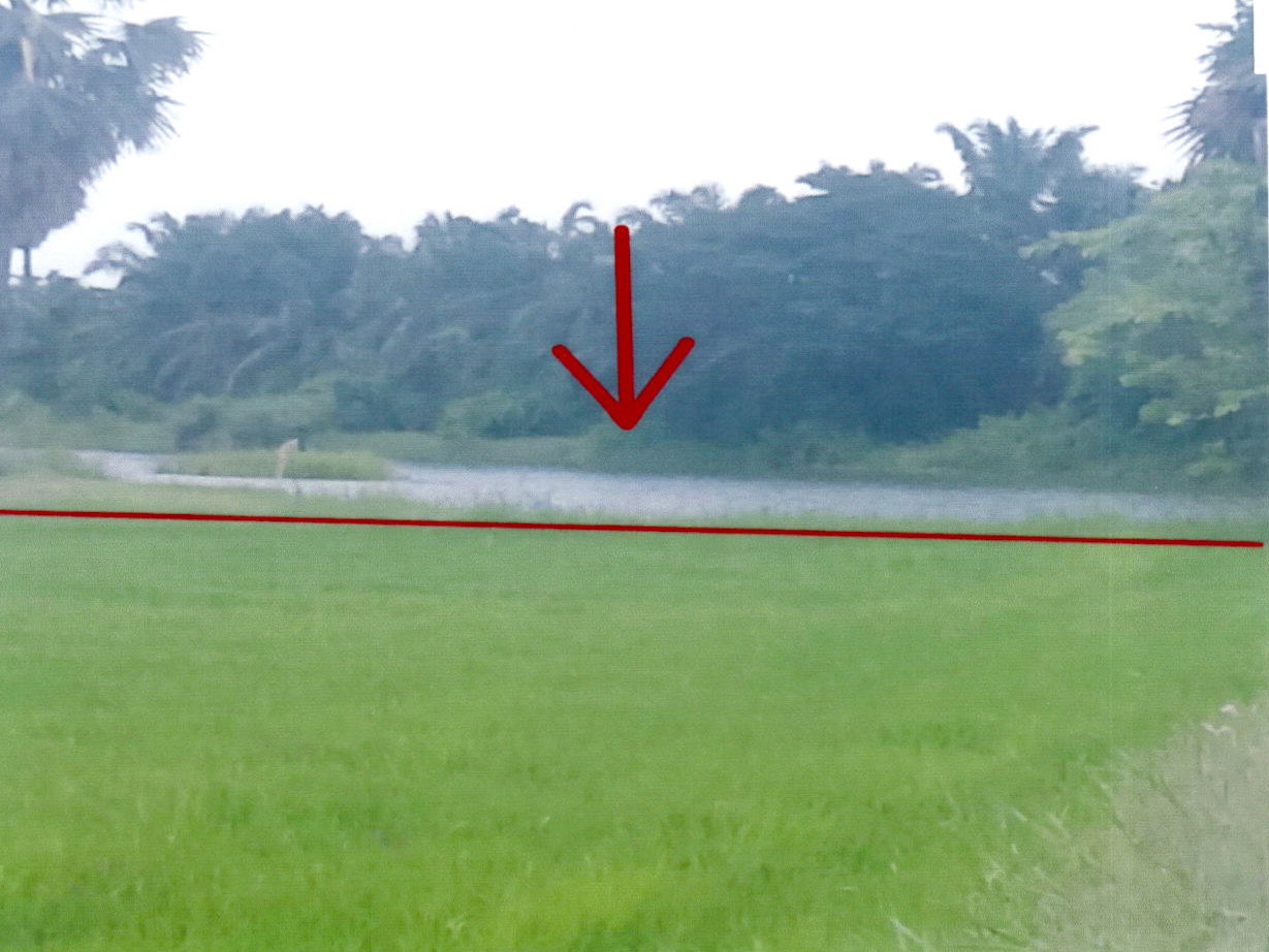 ขายทอดตลาด ที่ดินว่างเปล่า จ.เพชรบุรี