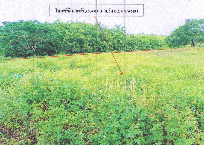 ขายทอดตลาด ที่ดินว่างเปล่า ต.นาปรัง อ.ปง จ.พะเยา