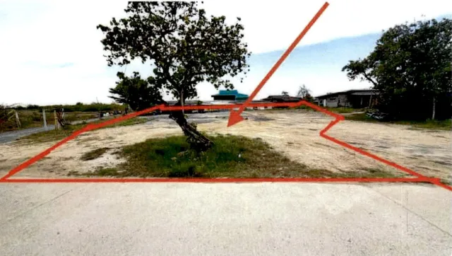 ขายทอดตลาด ที่ดินพร้อมสิ่งปลูกสร้าง ต.หนองขนาน อ.เมืองเพชรบุรี จ.เพชรบุรี