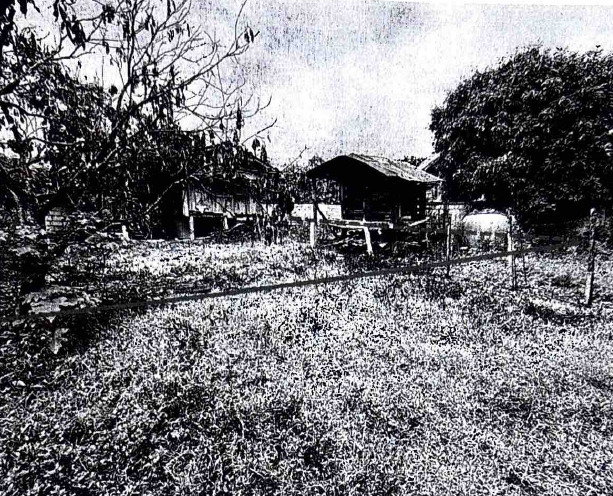 ขายทอดตลาด ที่ดินพร้อมสิ่งปลูกสร้าง ต.ดงเจน อ.ภูกามยาว จ.พะเยา