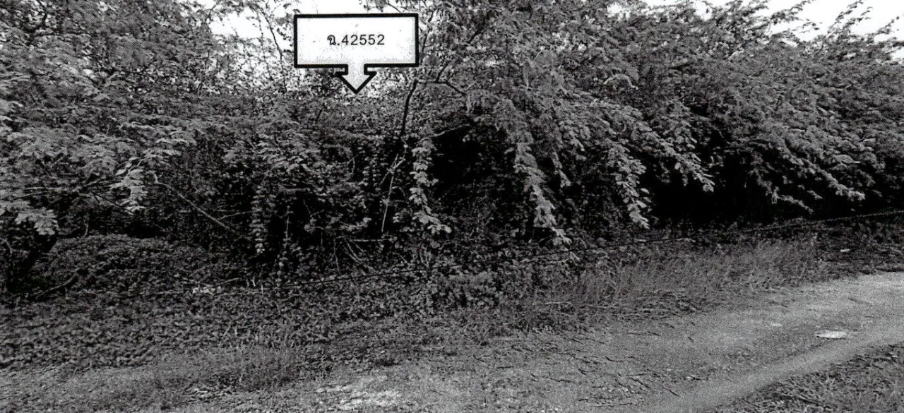 ขายทอดตลาด ที่ดินว่างเปล่า ต.ปึกเตียน อ.ท่ายาง จ.เพชรบุรี
