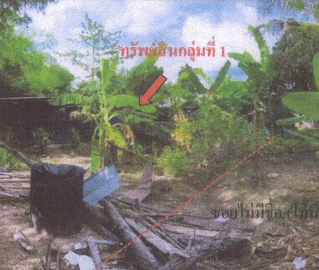 ขายทอดตลาด ที่ดินว่างเปล่า ต.สะเดา อ.พลับพลาชัย จ.บุรีรัมย์