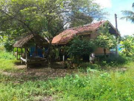 ขายทอดตลาด ที่ดินพร้อมสิ่งปลูกสร้าง ต.ลุมปุ๊ก อ.เมืองบุรีรัมย์ จ.บุรีรัมย์