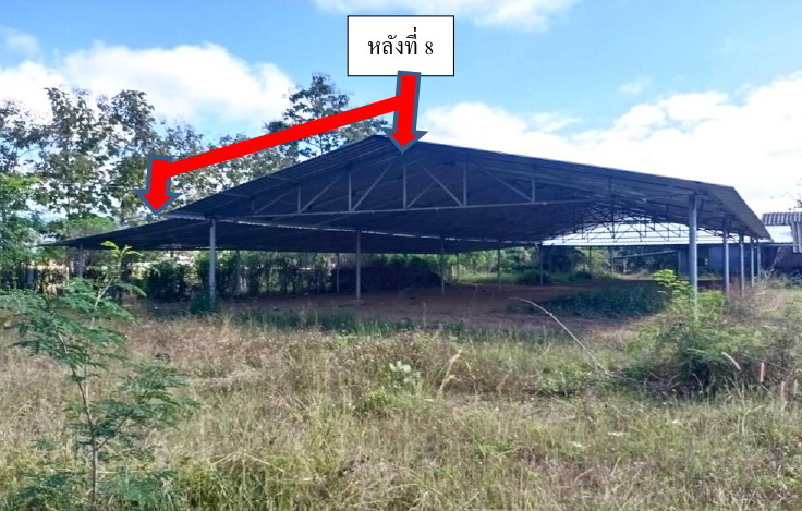 ขายทอดตลาด ที่ดินพร้อมสิ่งปลูกสร้าง ต.ดงสุวรรณ อ.ดอกคำใต้ จ.พะเยา