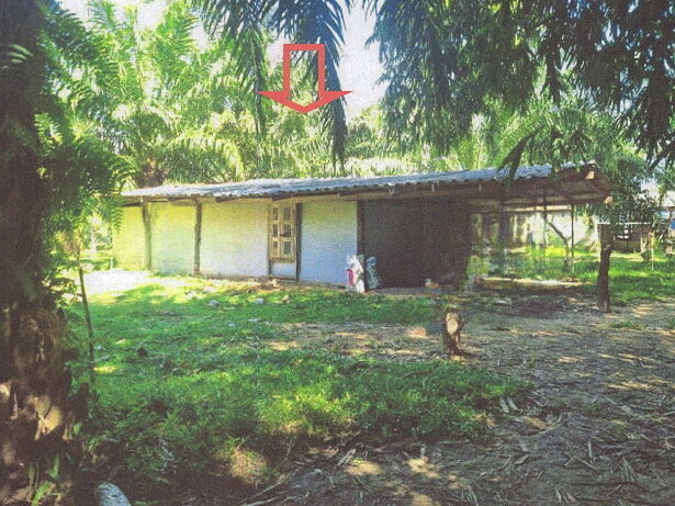 ขายทอดตลาด ที่ดินพร้อมสิ่งปลูกสร้าง ต.คลองขนาน อ.เหนือคลอง จ.กระบี่