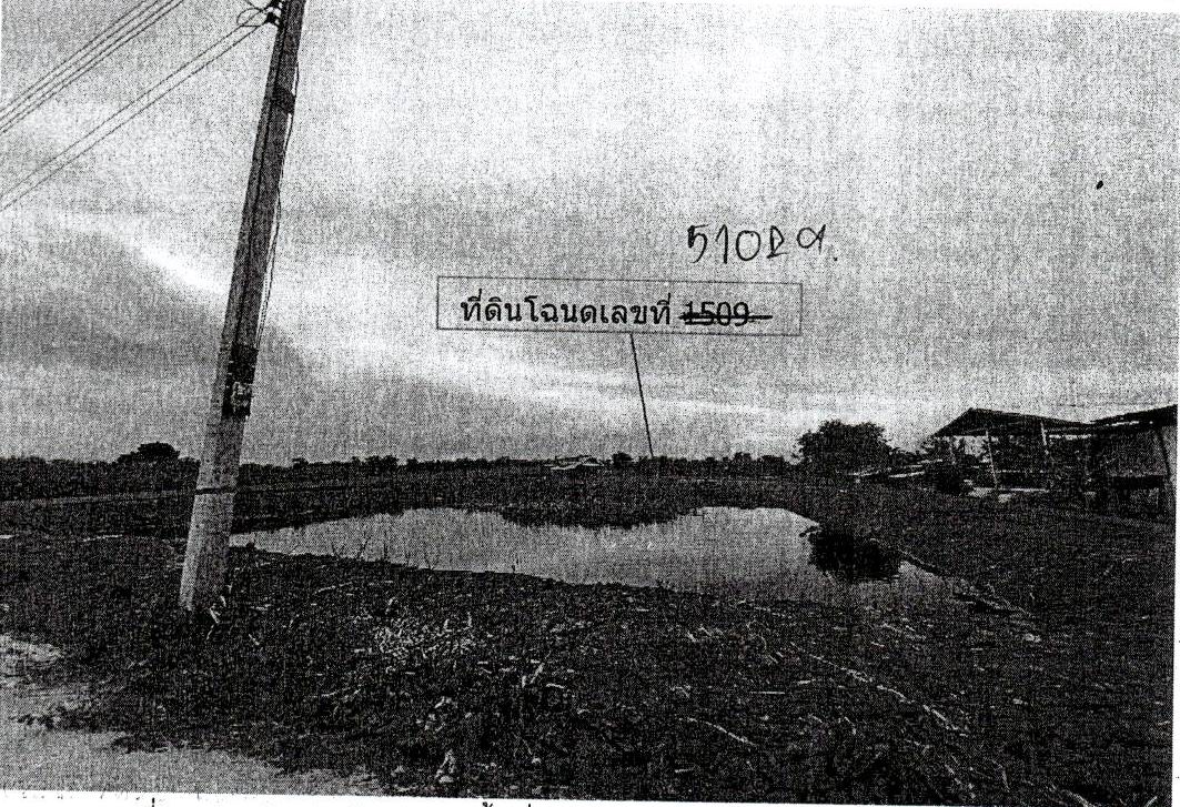 ขายทอดตลาด ที่ดินว่างเปล่า ต.หนองขนาน อ.เมืองเพชรบุรี จ.เพชรบุรี