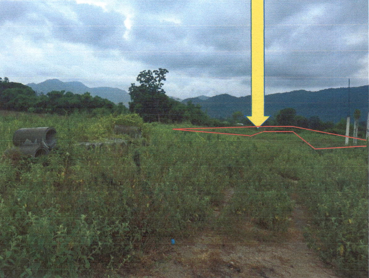 ขายทอดตลาด ที่ดินว่างเปล่า ต.เขาใหญ่ อ.ชะอำ จ.เพชรบุรี